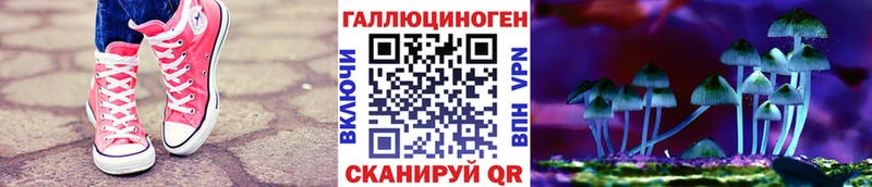 Псилоцибиновые грибы Cubensis  Перевоз 