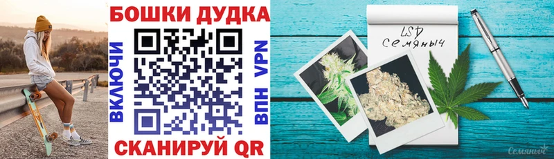Марихуана план  блэк спрут как войти  Перевоз 